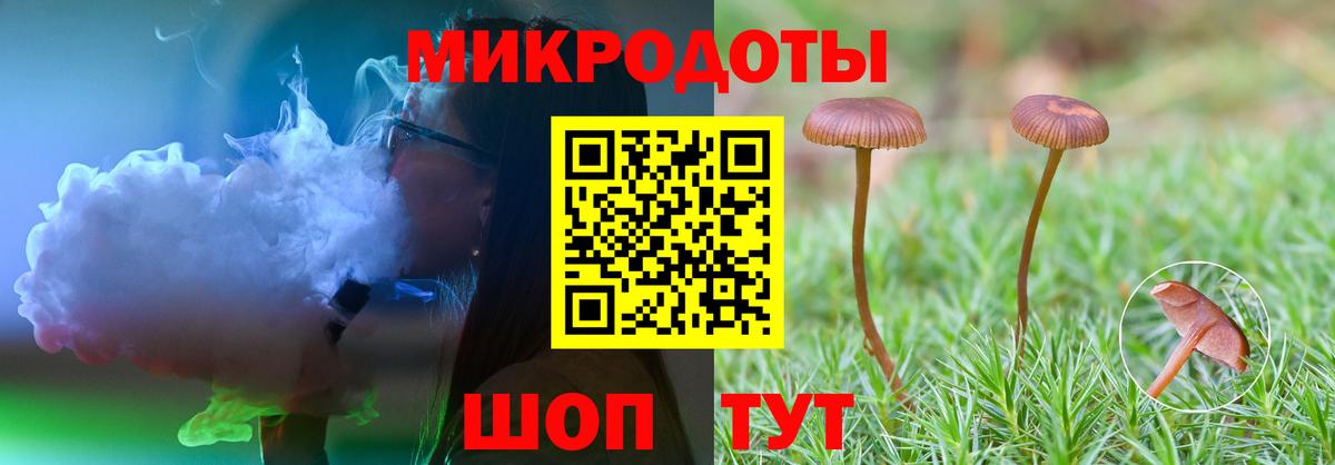 Кашира  Галлюциногенные грибы Cubensis  Вход с VPN 